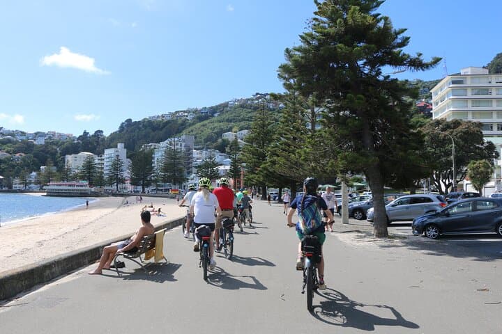 Wellington Self-Guided Electric Bike Tour: Waterfront, Bays & Lookouts photo 3