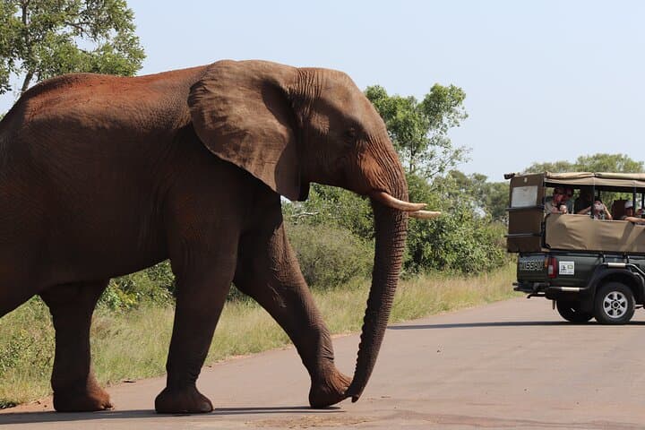 6-Day Hoedspruit Safari & Blyde River Canyon Tour — Kruger Safaris, Boat Cruise & Rehab Visit photo 3
