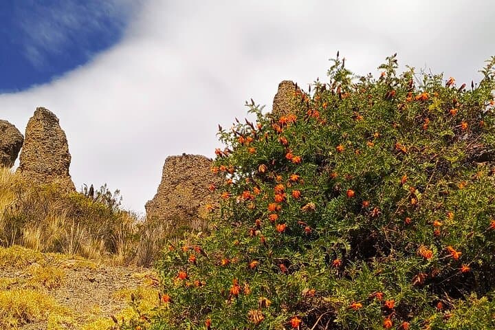 La Paz: Valle de las Ánimas, Moon Valley & Killi Killi View — Half‑Day Tour photo 5