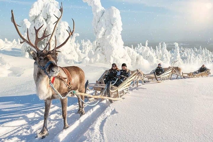 Reindeer Safari & Traditional Lunch at a Lapland Farm — Rovaniemi Winter Experience photo 1