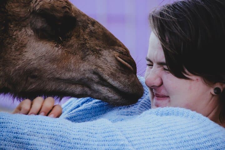 Alpaca Meet and Greet in Peterborough — Hands-On Farm Tour & Fibre Workshop photo 4