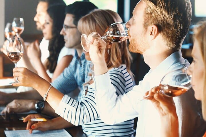 Private Wine Tasting Tour in Stellenbosch: Vineyard Walks, Cellars & Chocolate Pairing photo 4