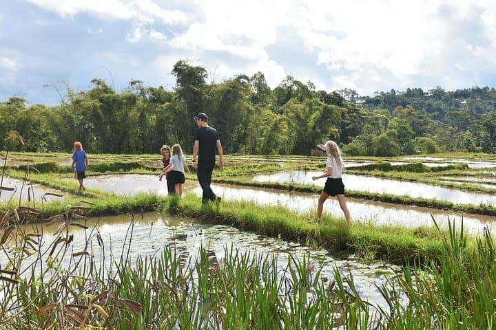 Labuan Bajo Countryside Tour: 5-Day Trekking, Cycling & Jungle Adventure in Flores