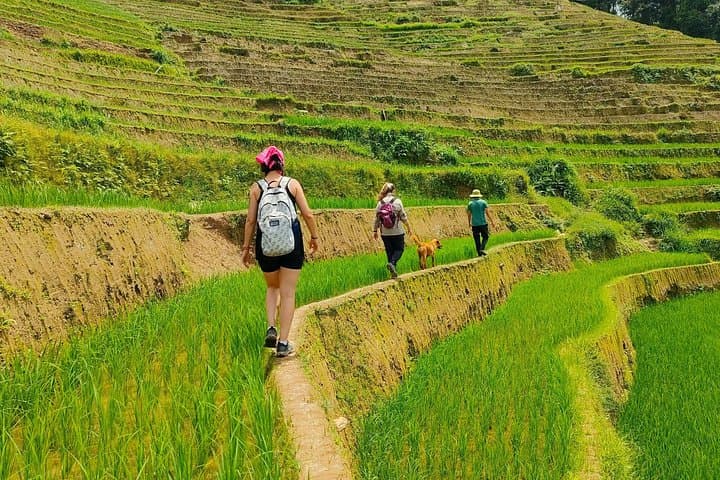 Mu Cang Chai 2-Day Private Trekking & H'Mong Homestay from Hanoi