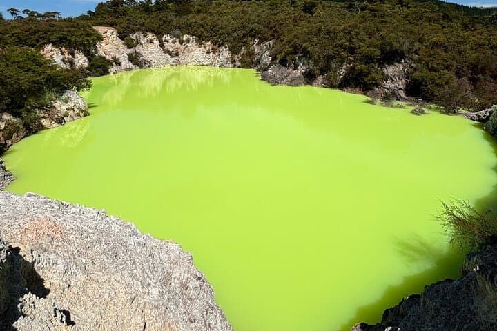 Day Trip from Auckland: Wai-O-Tapu, Redwood Forest & Blue Spring Private Tour photo 2
