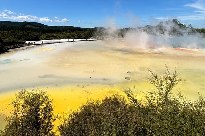 Day Trip from Auckland: Wai-O-Tapu, Redwood Forest & Blue Spring Private Tour photo 1