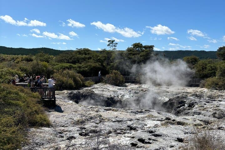 Day Trip from Auckland: Wai-O-Tapu, Redwood Forest & Blue Spring Private Tour photo 3