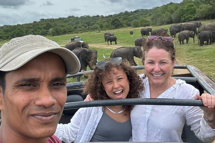 Sigiriya, Dambulla & Minneriya: Private Day Tour from Kandy