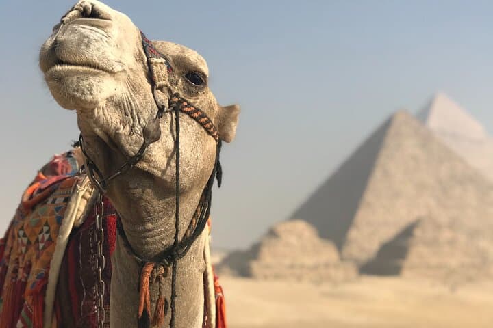 Full-Day Giza Pyramids, Memphis & Saqqara: Private Tour from Cairo photo 5