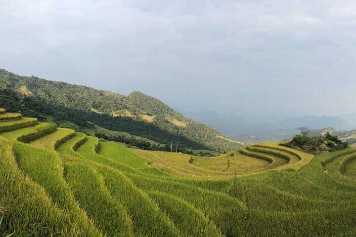 Ha Giang Loop 3-Day Private Car Tour: Ma Pi Leng Pass, Dong Van & Local Homestays photo 2