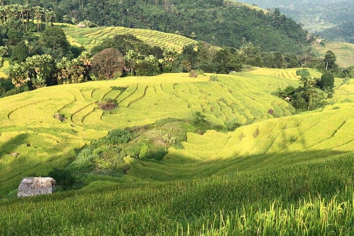 Ha Giang Loop 3-Day Private Car Tour: Ma Pi Leng Pass, Dong Van & Local Homestays photo 6