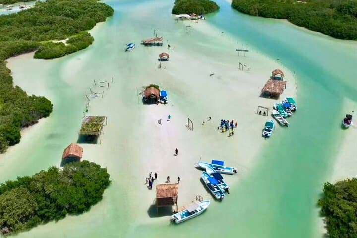 Isla Columpios & Progreso Day Trip from Mérida — Boat, Beach and Local Flavors photo 6