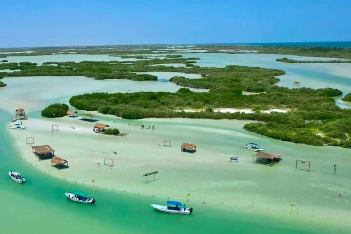 Isla Columpios & Progreso Day Trip from Mérida — Boat, Beach and Local Flavors photo 4
