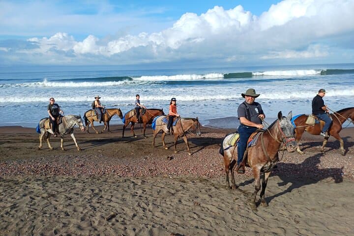 Jaco Beach Horseback Riding: 2-Hour Jungle & Beach Equine Adventure photo 4