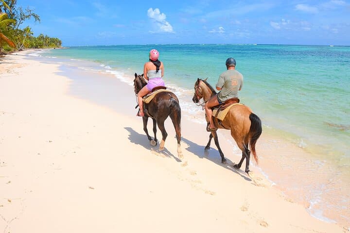 Punta Cana Beach Horseback Ride: Shared Coastal Trail to Punta de los Nidos photo 2