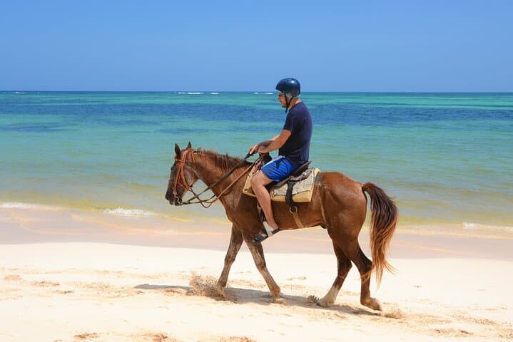 Punta Cana Beach Horseback Ride: Shared Coastal Trail to Punta de los Nidos photo 4