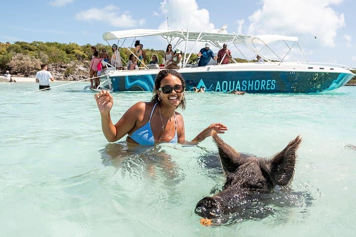 Exuma Powerboat Tour — Swimming Pigs, Nurse Sharks & Sandbar Escape photo 4