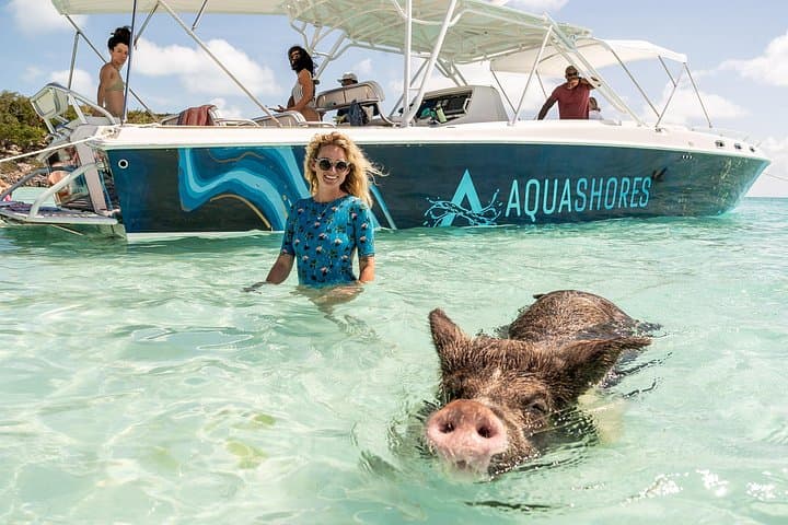 Exuma Powerboat Tour — Swimming Pigs, Nurse Sharks & Sandbar Escape photo 3