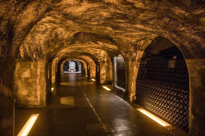 Moët et Chandon Private Half-Day Champagne Tour from Paris photo 6