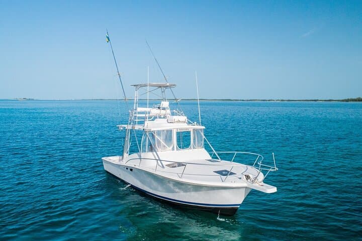 Nassau Snorkeling, Turtle Spotting & Sunset Cruise: Reef, Turtles and Golden Hour photo 3