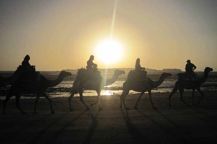 Beach Dromedary Ride Near Essaouira: 1-Hour Camel Caravan to Diabat Dunes photo 1