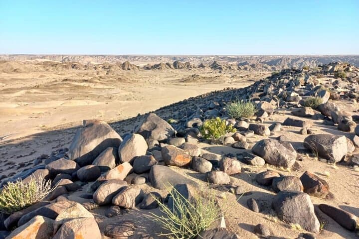 Moon Landscape & Welwitschia Tour from Swakopmund — Namib Desert 4x4 Adventure photo 6