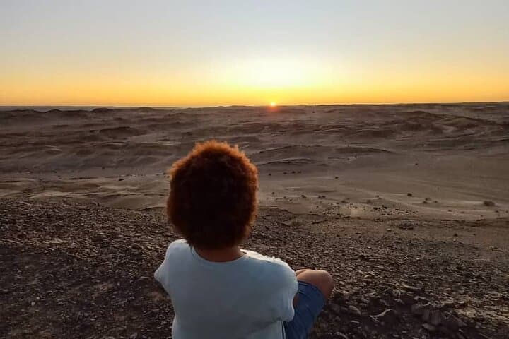 Moon Landscape & Welwitschia Tour from Swakopmund — Namib Desert 4x4 Adventure photo 2