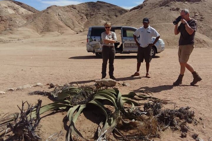 Moon Landscape & Welwitschia Tour from Swakopmund — Namib Desert 4x4 Adventure photo 4