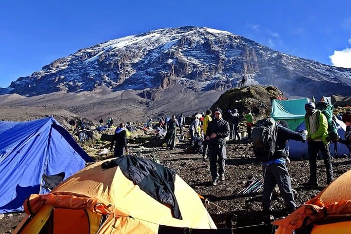 Conquer Kilimanjaro’s Umbwe Route: 6-Day Climb Through Tanzania’s Wildest Terrain photo 6