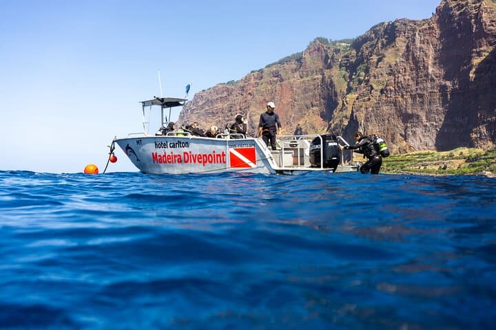 Diving Garajau: Boat Dives from Funchal to See Dusky Groupers photo 4