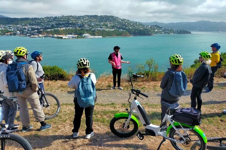 Wellington eBike Shore Excursion: Guided Waterfront & Miramar Tour photo 6