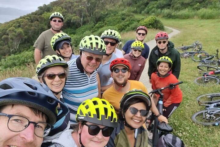 Wellington eBike Shore Excursion: Guided Waterfront & Miramar Tour photo 4