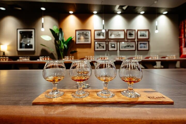 Casa BACARDÍ Rum Tasting Tour — Cataño Rum Experience Near San Juan photo 2