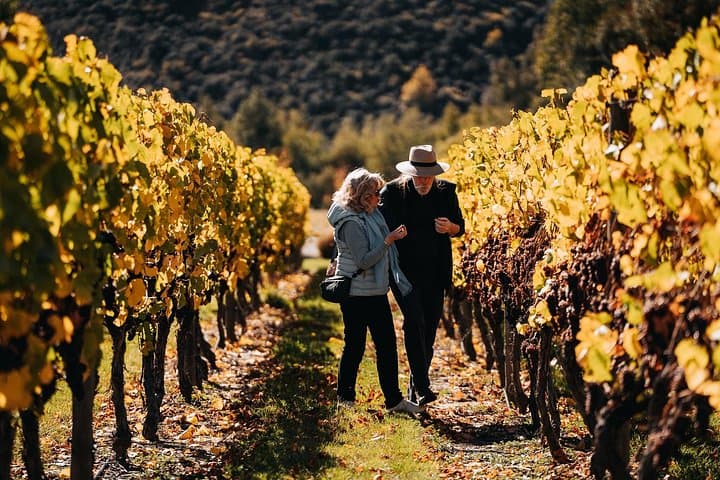Taste of Gibbston Private Wine Tour from Queenstown photo 5
