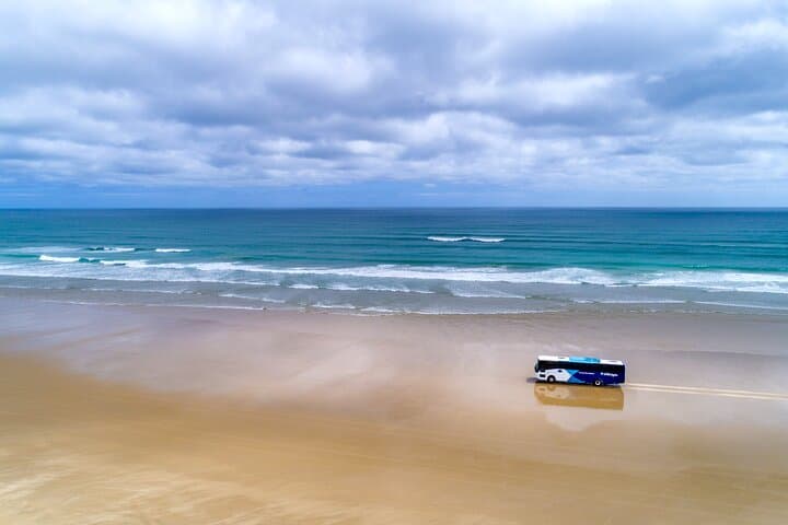 Far North New Zealand Coach Tour: 90 Mile Beach & Cape Reinga Day Trip from Paihia photo 4