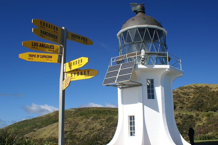 Far North New Zealand Coach Tour: 90 Mile Beach & Cape Reinga Day Trip from Paihia photo 5