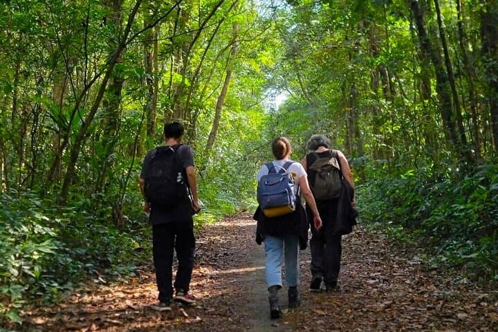 Cat Ba National Park Full-Day: Trekking, Biking & Kayaking in Lan Ha Bay photo 4