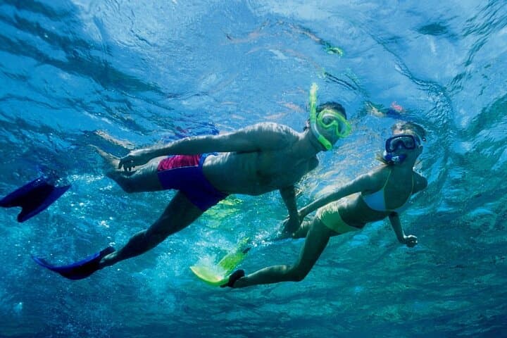 Cham Island Snorkeling & Sightseeing Day Trip from Hoi An photo 4