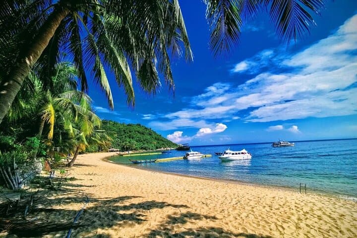 Cham Island Snorkeling: Day Trip from Hoi An & Da Nang to Cu Lao Cham photo 6