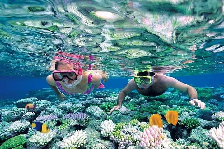 Cham Island Discovery: Snorkel Coral Reefs & Beachside Seafood from Hoi An