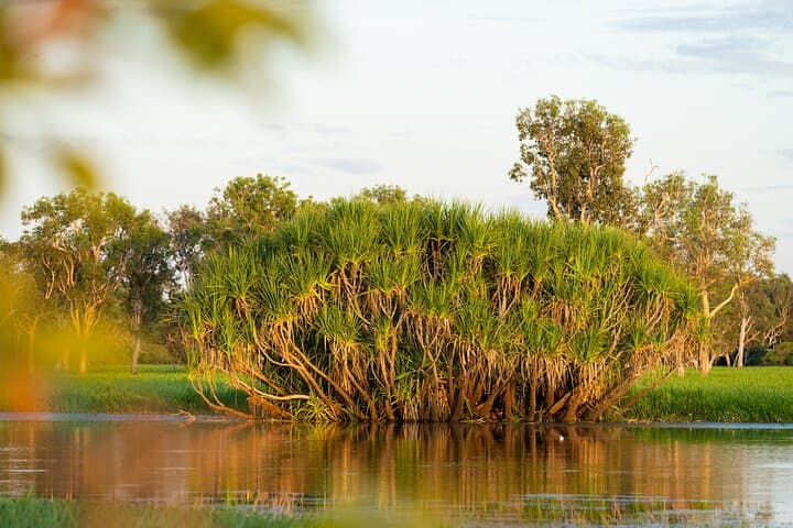 5-Day Top End Camping Tour: Kakadu, Nitmiluk & Litchfield Adventure photo 2