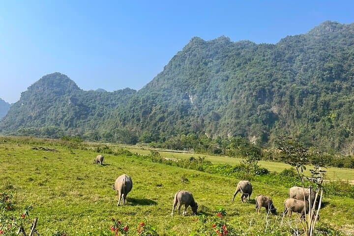 Lan Ha Bay Day Trip from Cat Ba: Kayaking, Biking & Beach Lunch