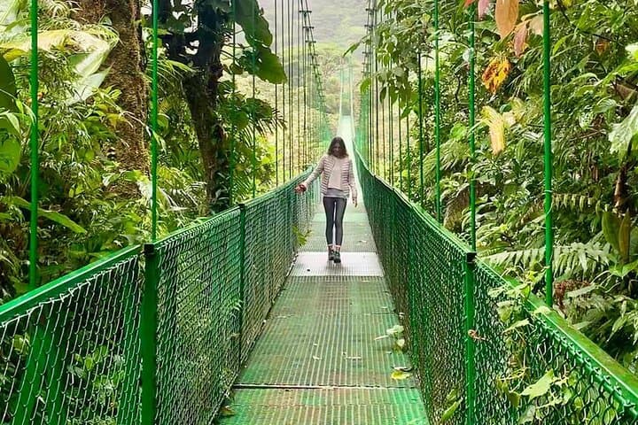 Monteverde Cloud Forest Tour — Guided Walk & Selvatura Hanging Bridges