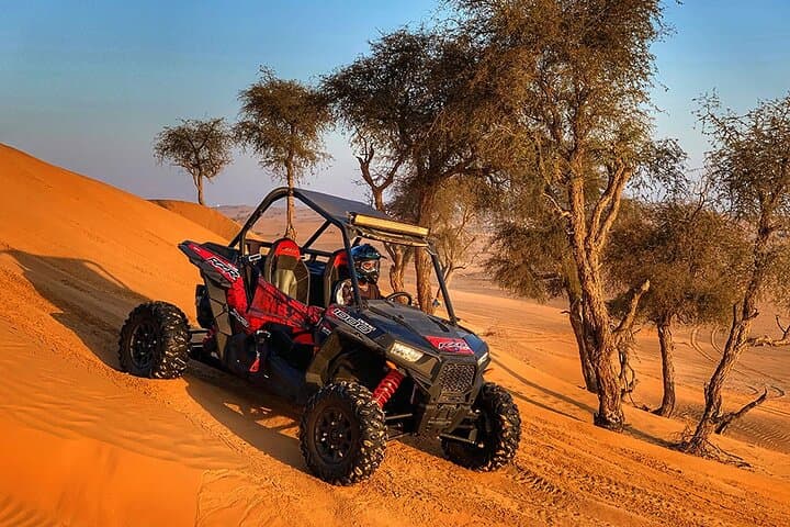 Dubai 30-Minute Dune Buggy Ride & Dune Bashing Experience photo 4