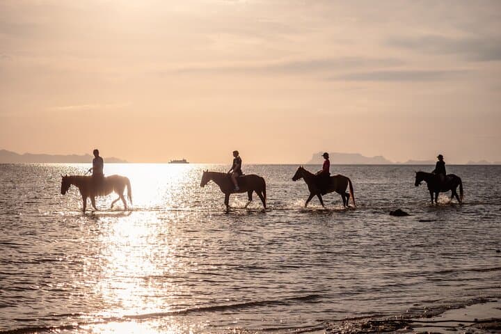 Scenic Sunset Horse Rides on Koh Samui's Laem Yai Beach