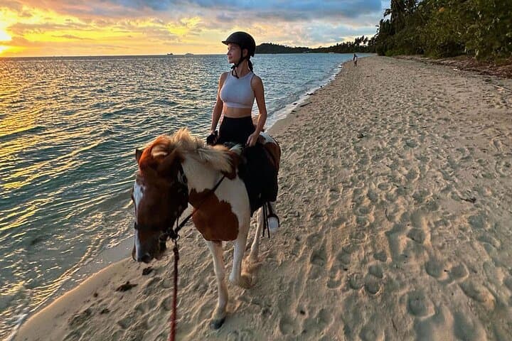 Scenic Sunset Horse Rides on Koh Samui's Laem Yai Beach photo 3