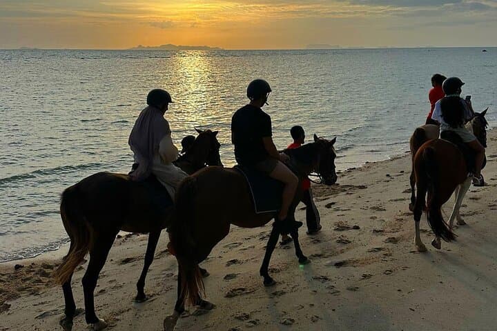Scenic Sunset Horse Rides on Koh Samui's Laem Yai Beach photo 4