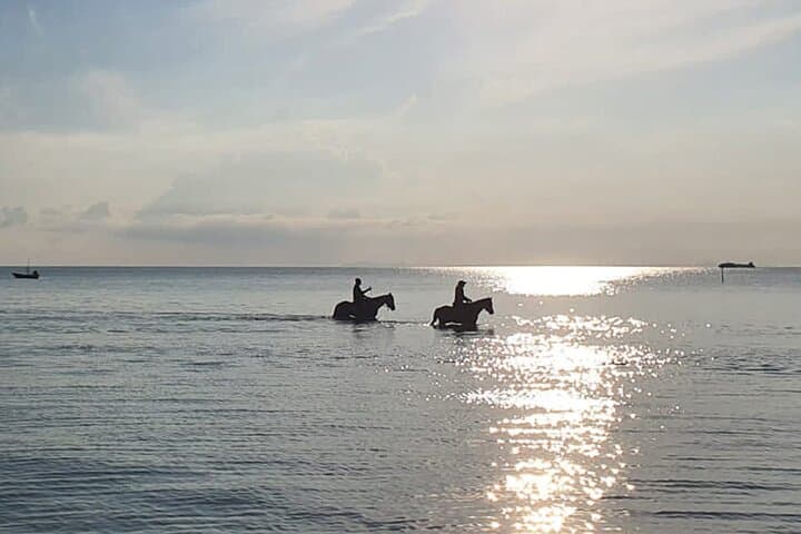 Scenic Sunset Horse Rides on Koh Samui's Laem Yai Beach photo 5