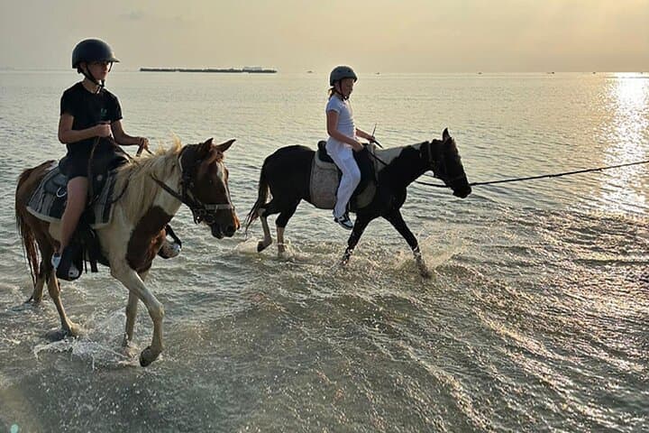 Scenic Sunset Horse Rides on Koh Samui's Laem Yai Beach photo 6
