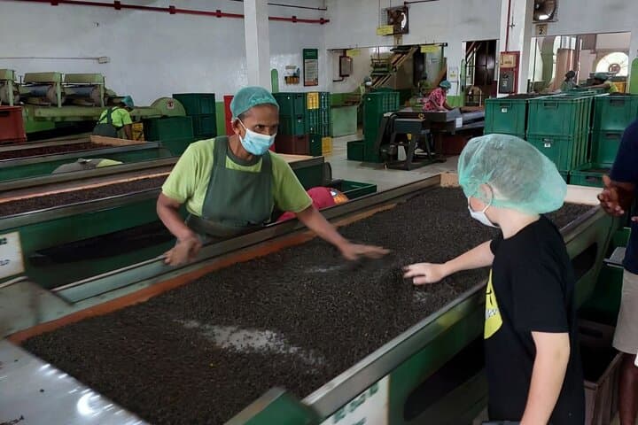 Authentic Sri Lankan Village Tour from Bentota: Tea, Rubber & Natural Pools photo 4